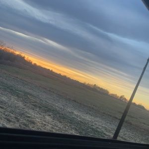 Meet your Posher, Bentley